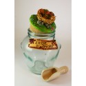 Barattoli Porta Infusi "Erbe d'Amore"